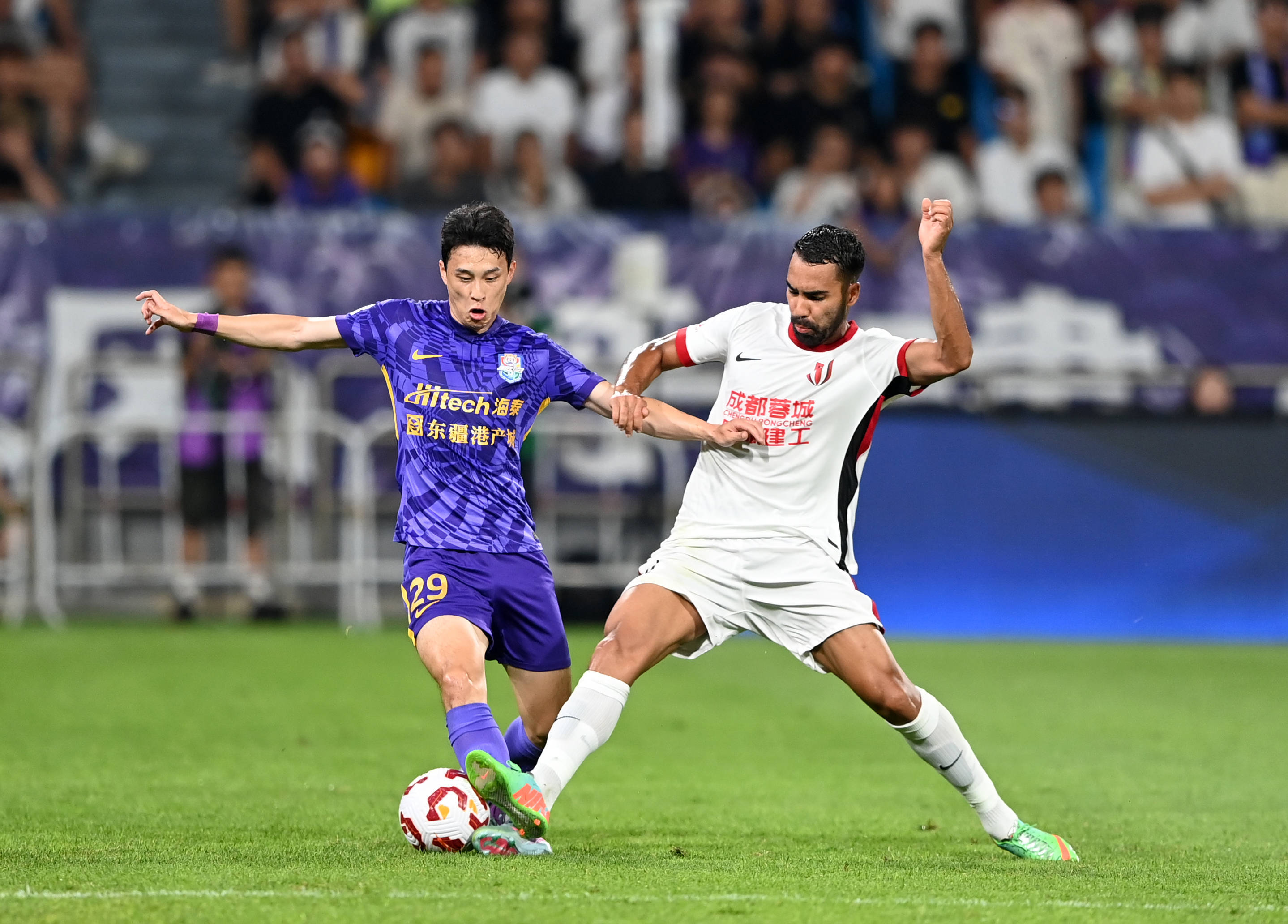 两队教练的 两队教练的