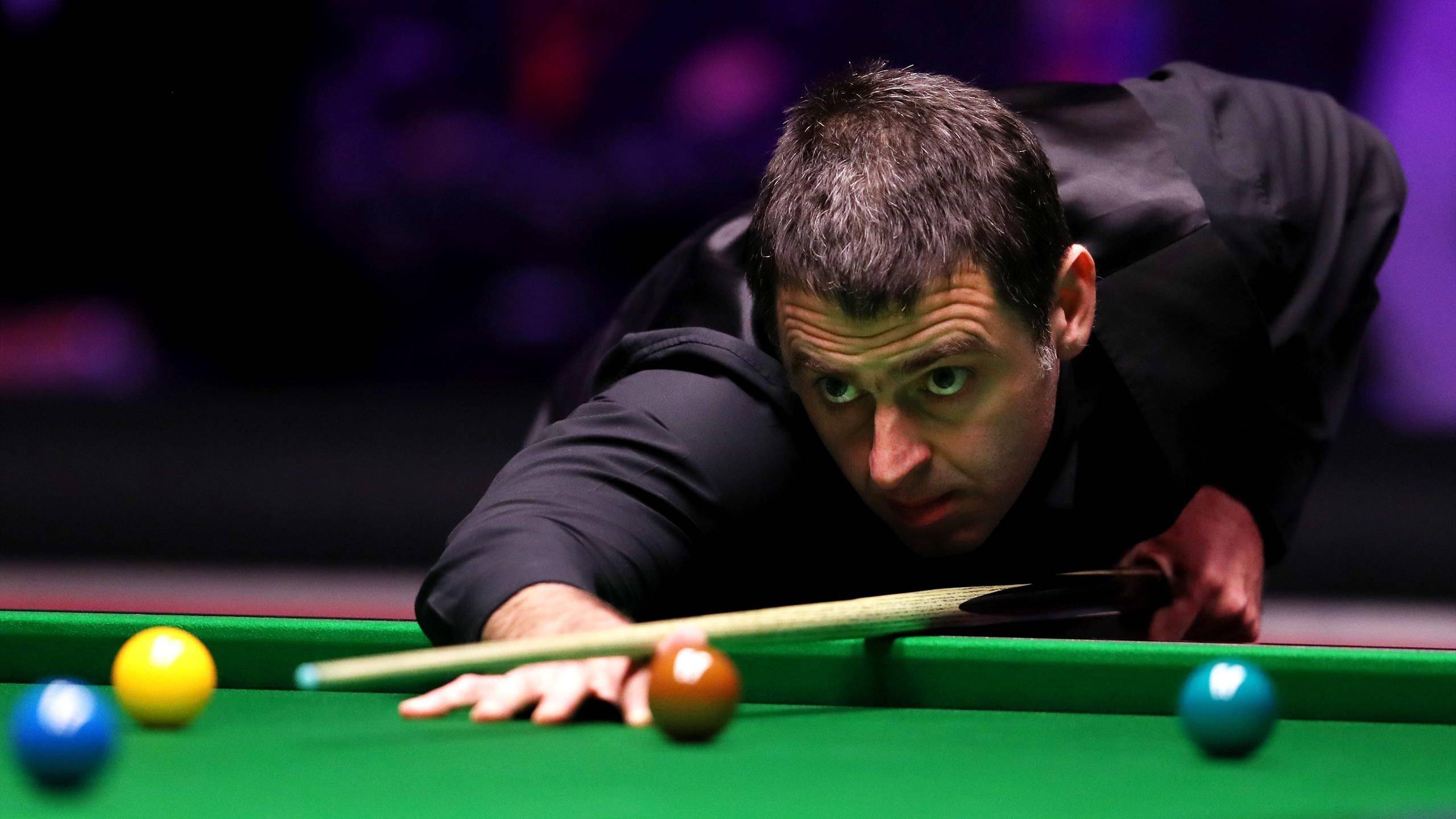 无数人津津 无数人津津